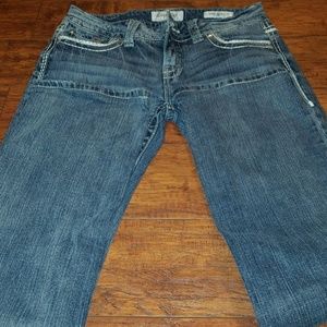 Daytrip Virgo bootcut jeans